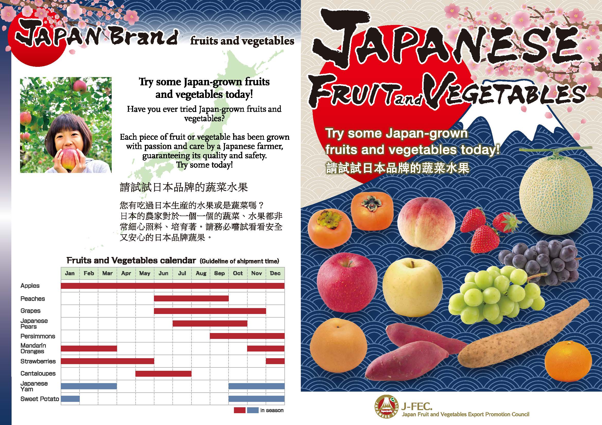 JAPANESE FRUITSの紹介パンフレット英語、繁体字版